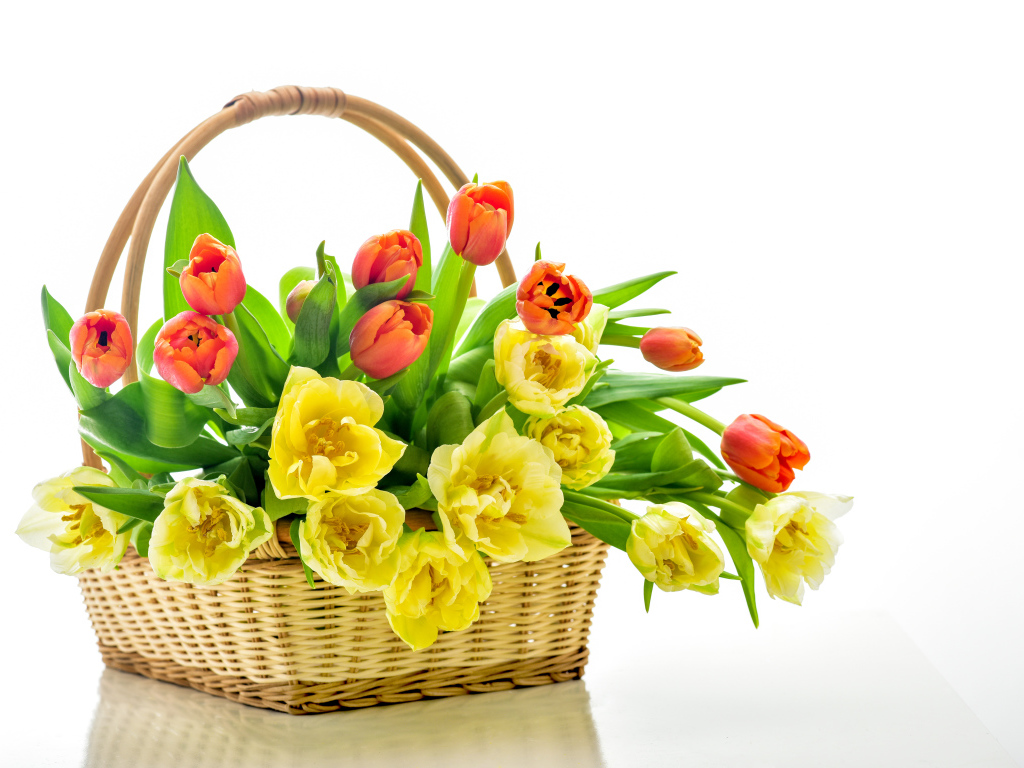 Корзина с желтыми и оранжевыми тюльпанами на белом фоне