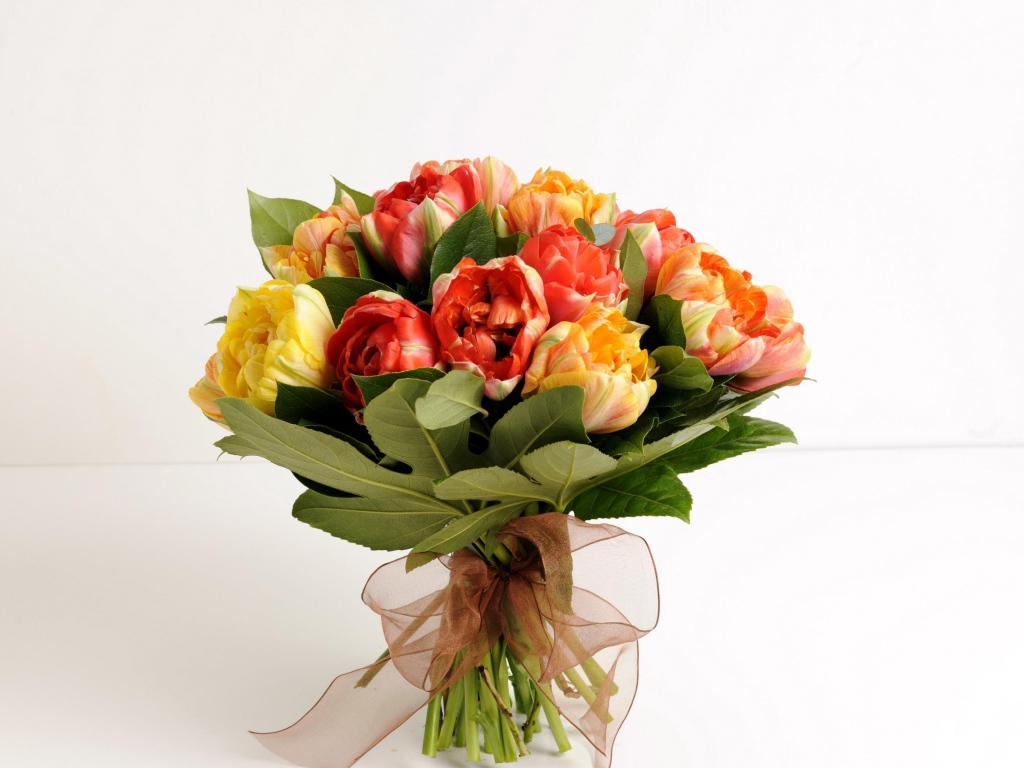 Красивый букет тюльпанов на белом фоне