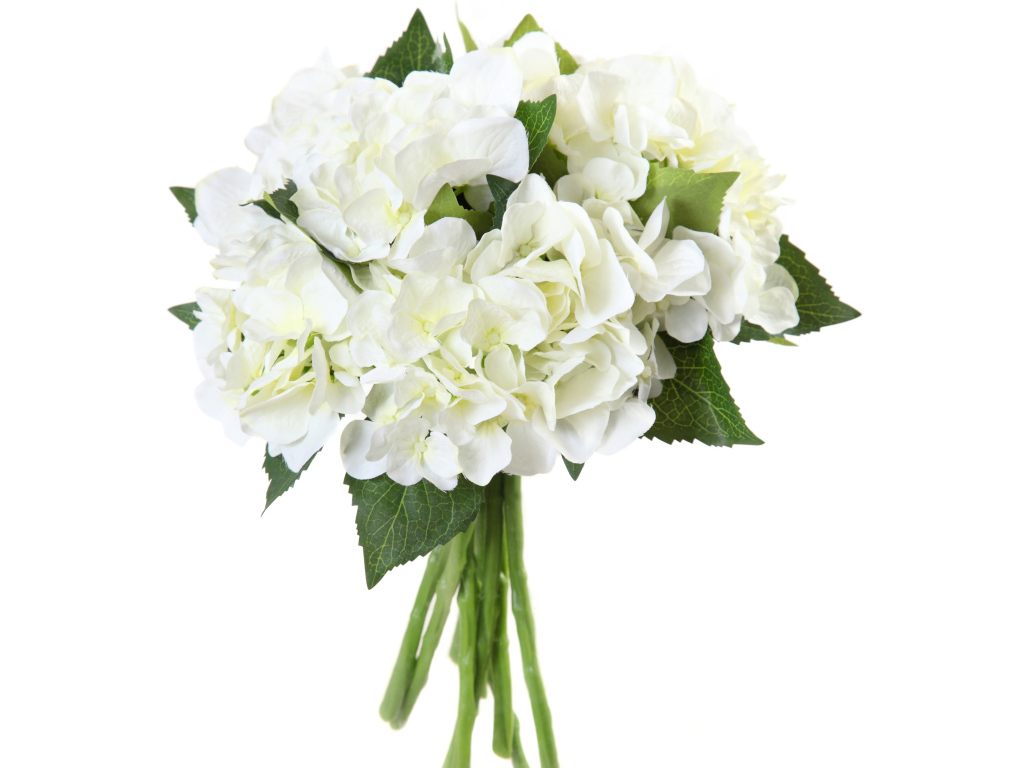 Красивый нежный букет с белыми цветами гортензии