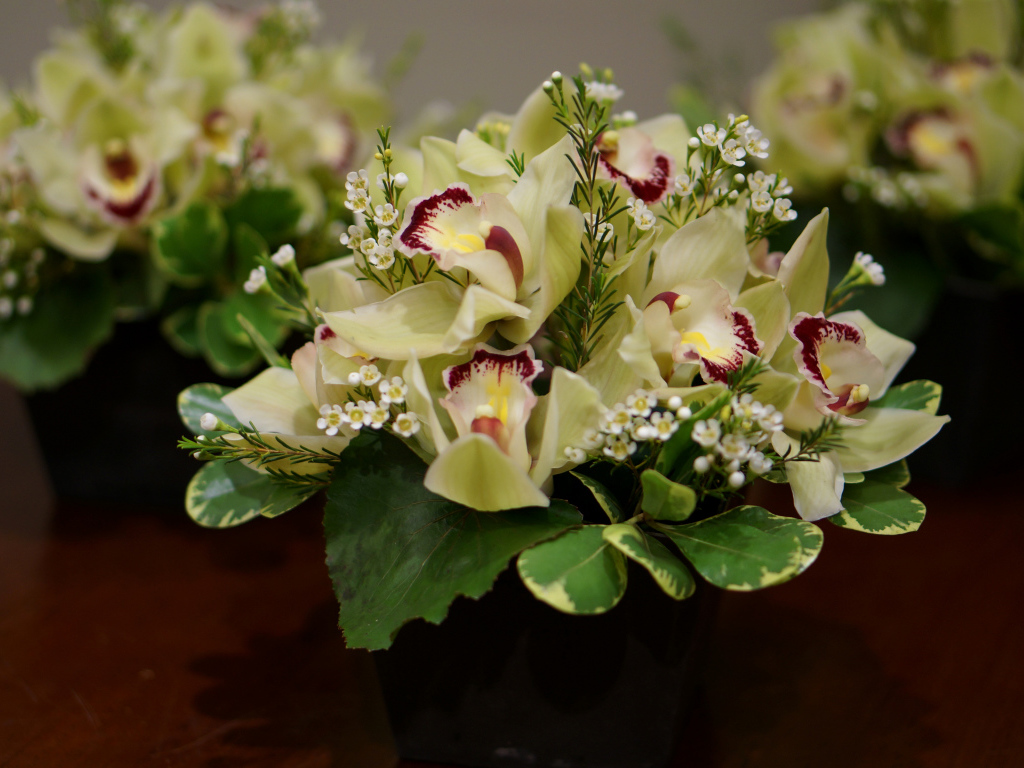 Букет нежной орхидеи и морозника