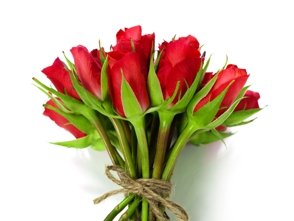 Букет красных роз перевязан веревкой на белом фоне