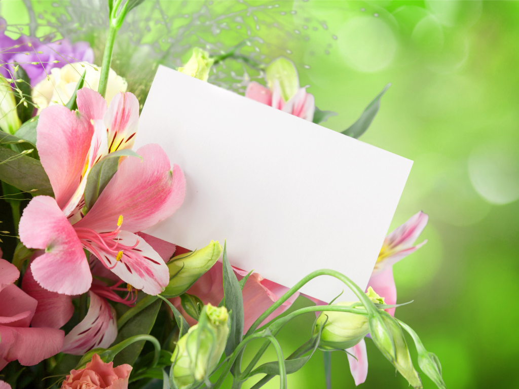 Цветы альстрёмерия и эустома, шаблон для открытки