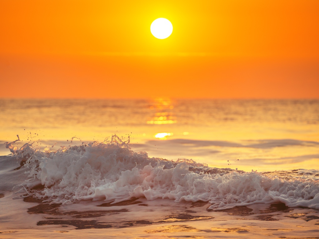 Белая пена на морском берегу в свете солнца на закате