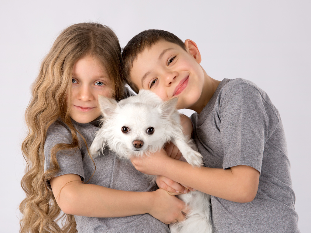 Мальчик и девочка держат в руках белого чихуахуа