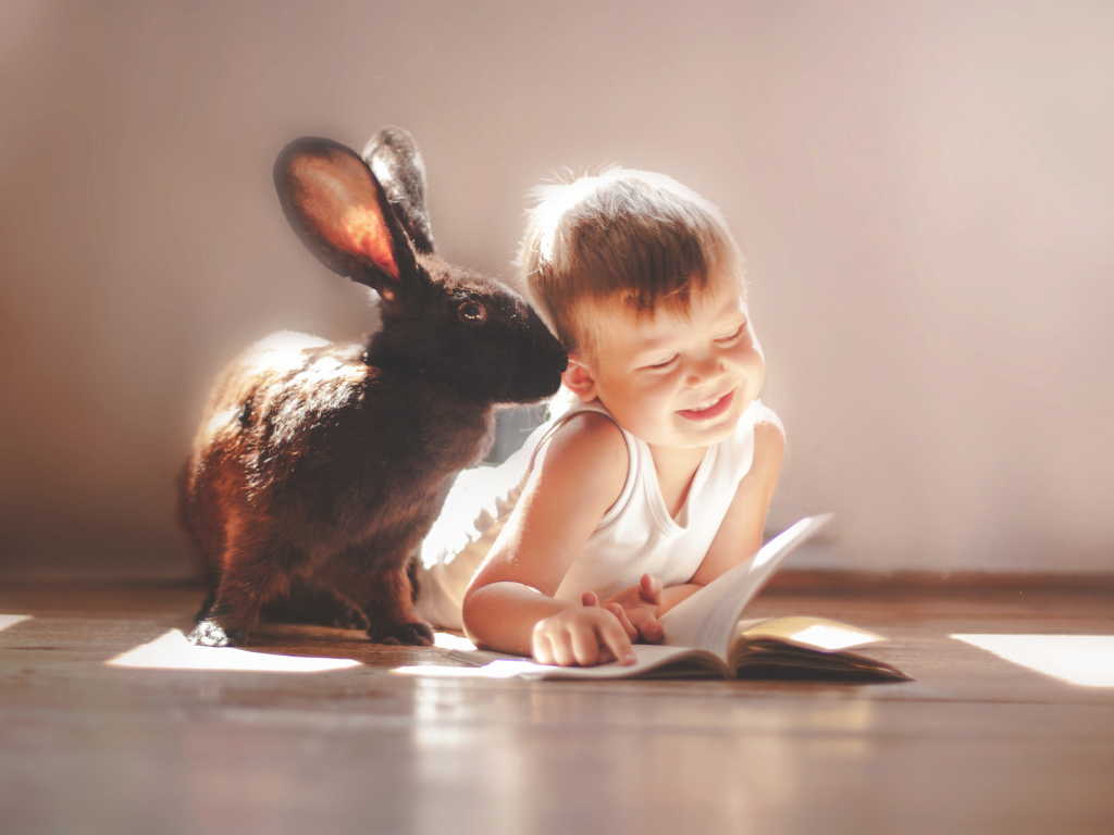 Маленький мальчик с большим черным кроликом читают книгу