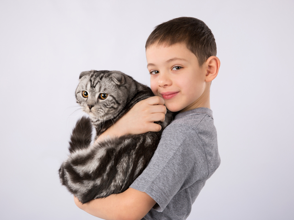 Маленький мальчик с большим котом на сером фоне