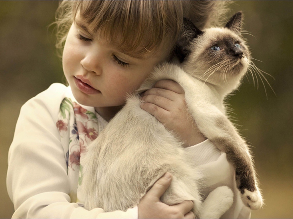 Маленькая девочка обнимает котенка 