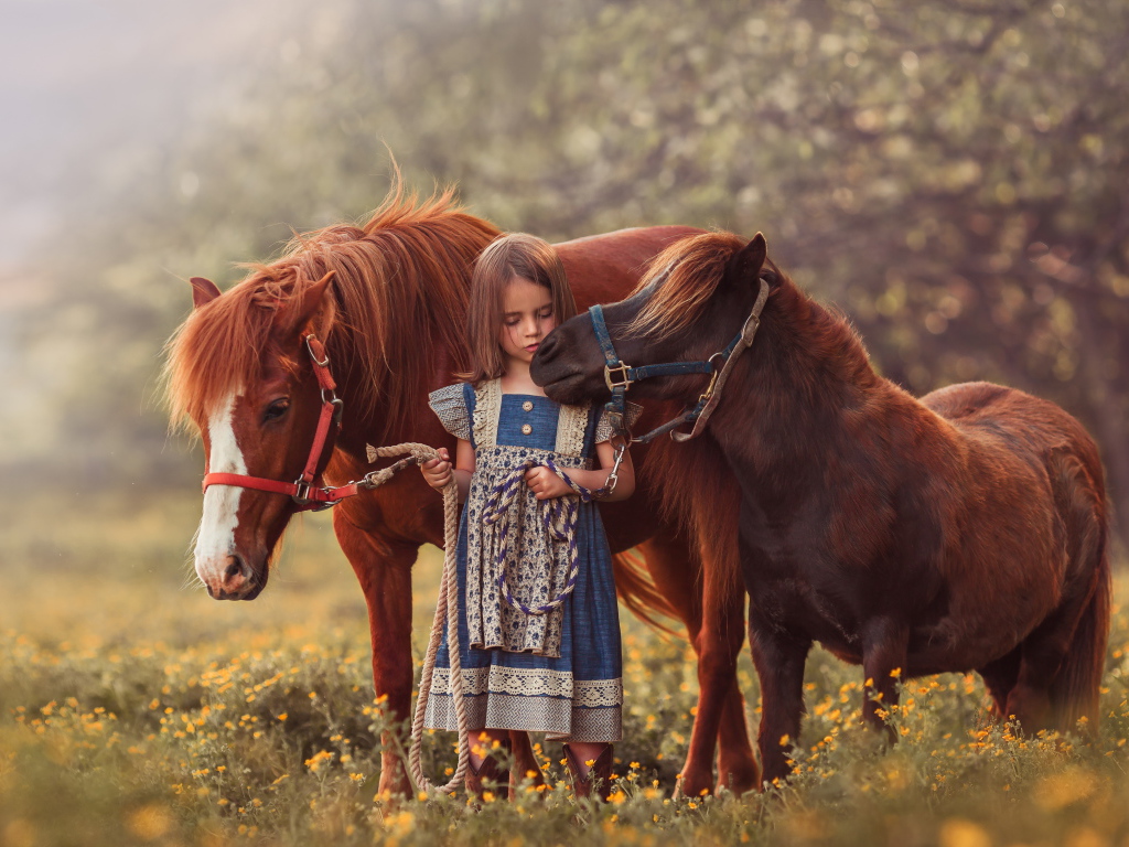 Маленькая девочка гуляет по полю с маленькими пони