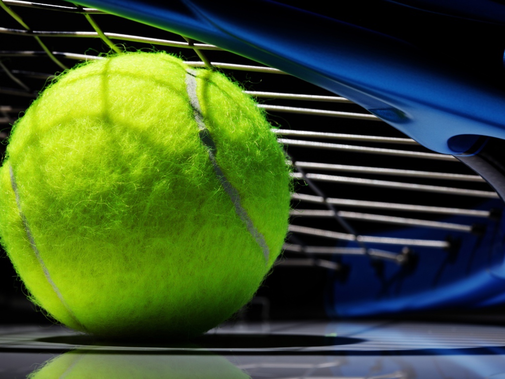 Теннисный мяч и ракетка 