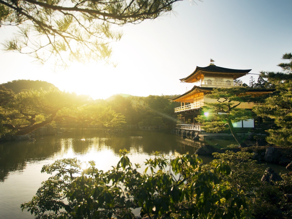 Пруд на рассвете, Япония 