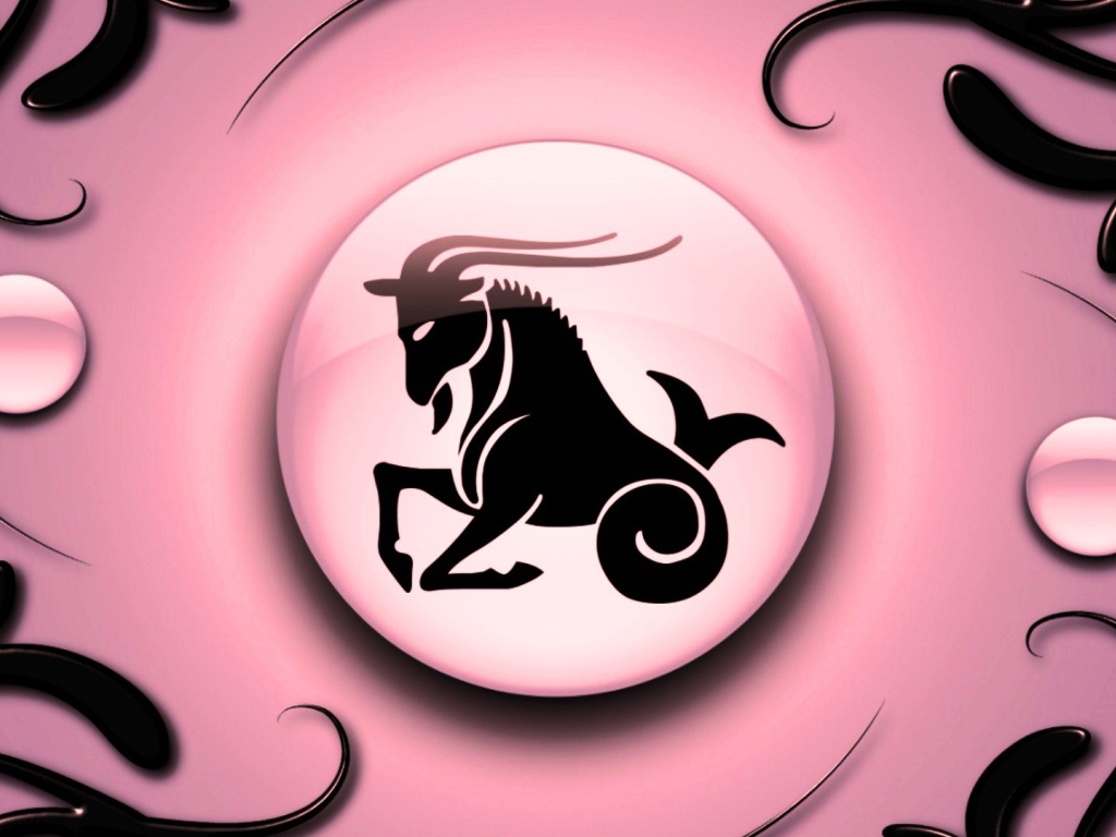 Capricorn on a pink background with black ornament