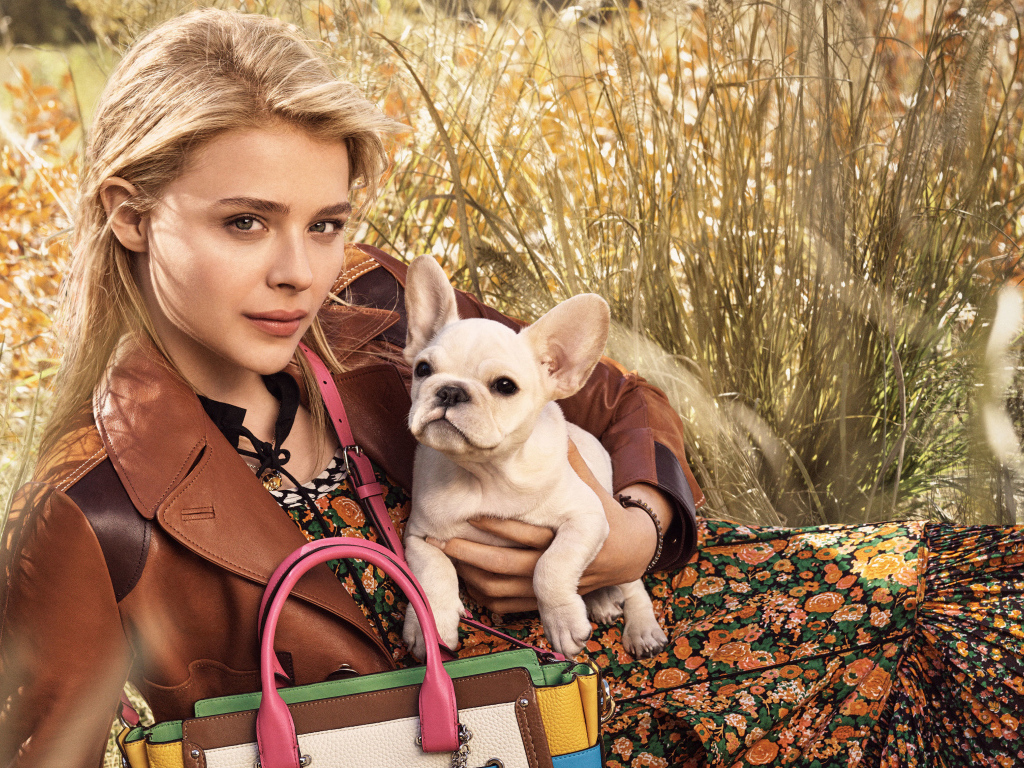Красивая молодая актриса Хлоя Грейс Морец с собакой 