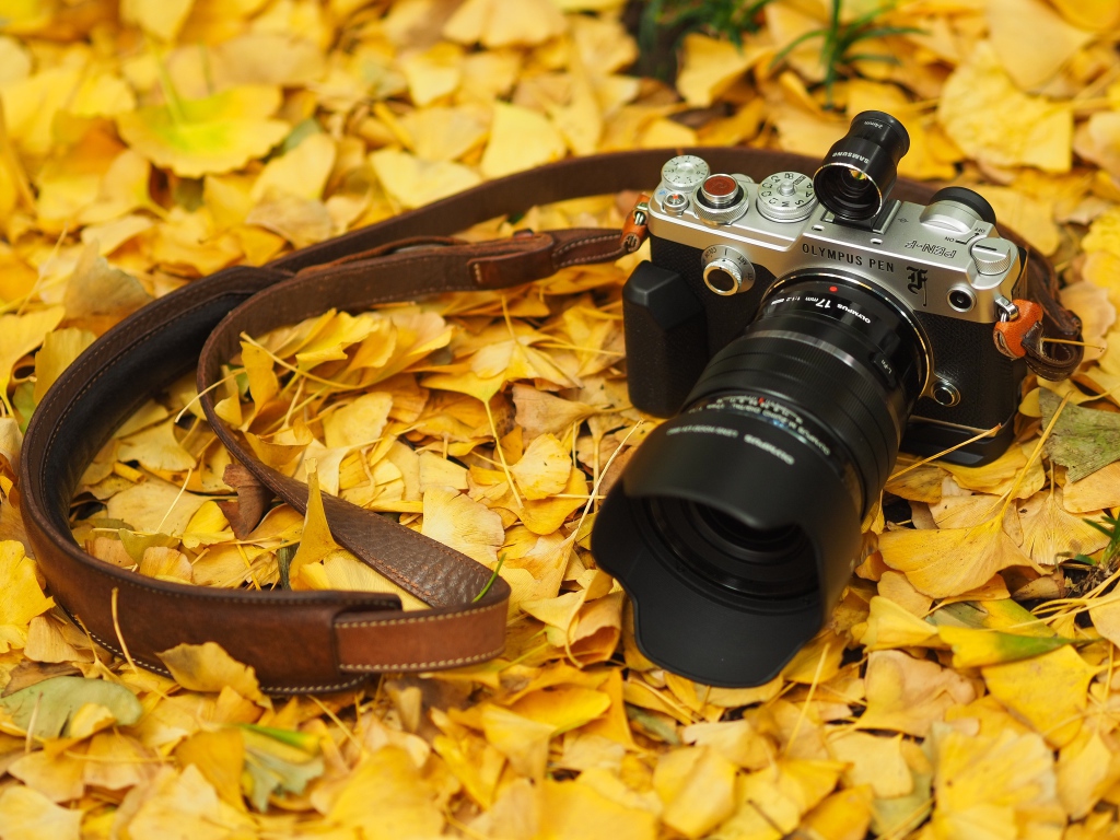 Olympus Pen-F camera lies on the yellow autumn foliage