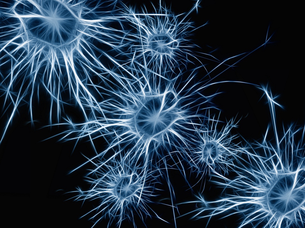 Neurons cells on a blue background