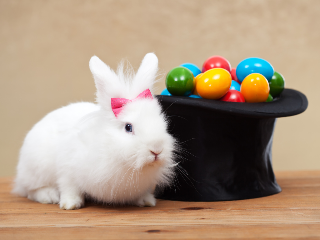 Белый кролик с черным цилиндром с крашеными яйцами
