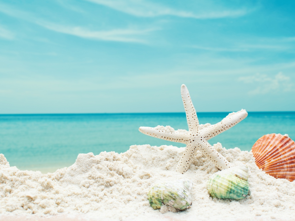 Белая морская звезда на белом песке с ракушками на фоне голубого неба