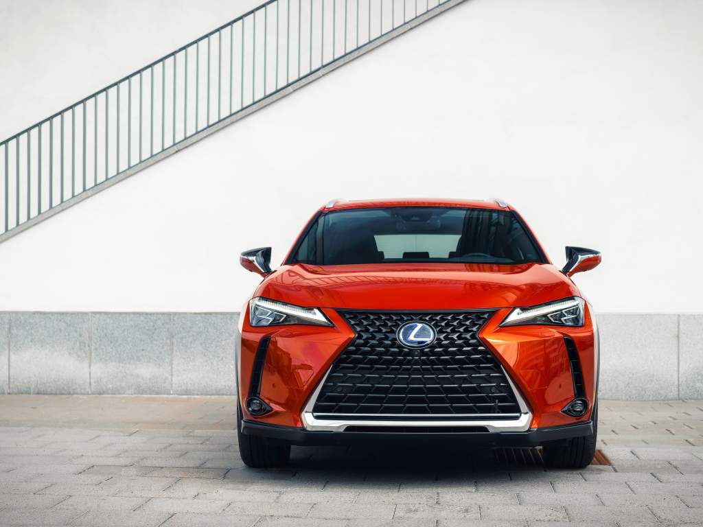 Красный автомобиль Lexus UX 250h, 2019 года вид спереди