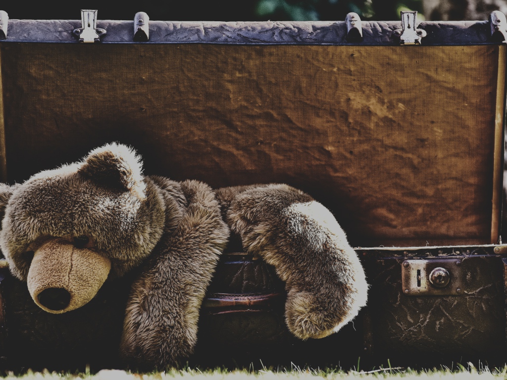 Большой плюшевый медведь в старом чемодане