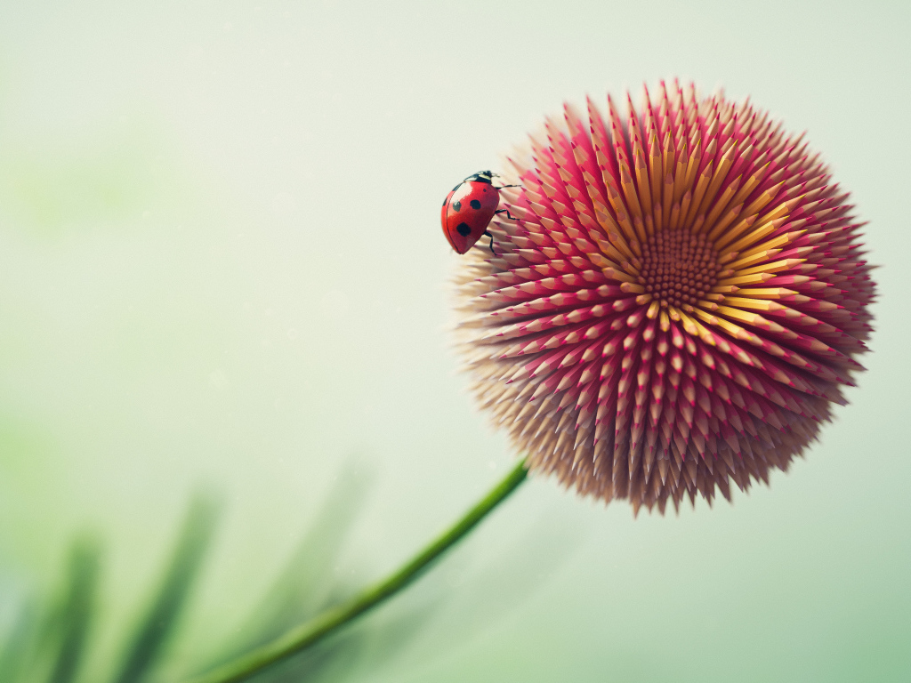 Цветок из карандашей с божьей коровкой 