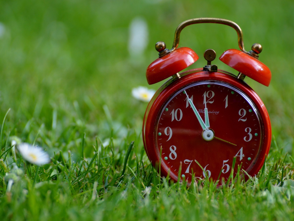 Красный будильник стоит на зеленой траве