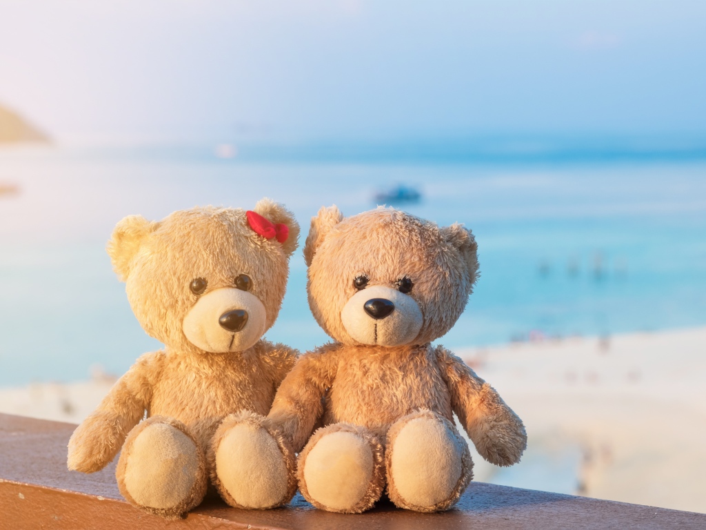 Два плюшевых медведя на фоне моря