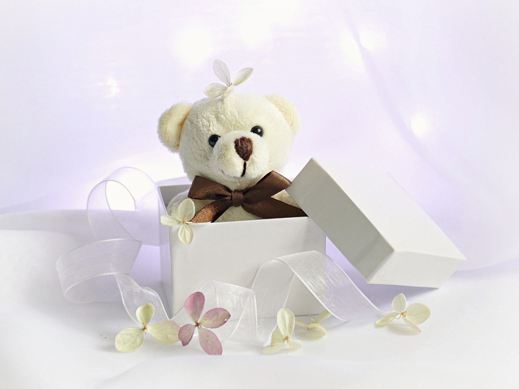 Белый плюшевый медведь в подарочной коробке