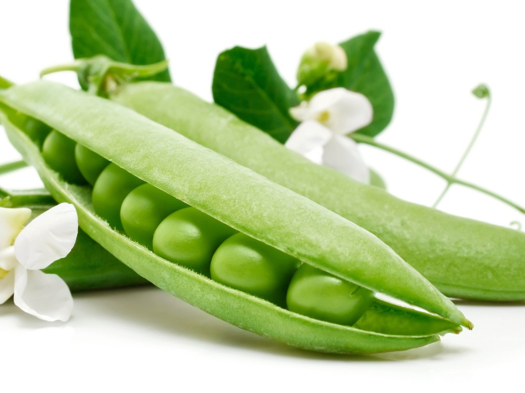 Green peas with flowers close up on a white background