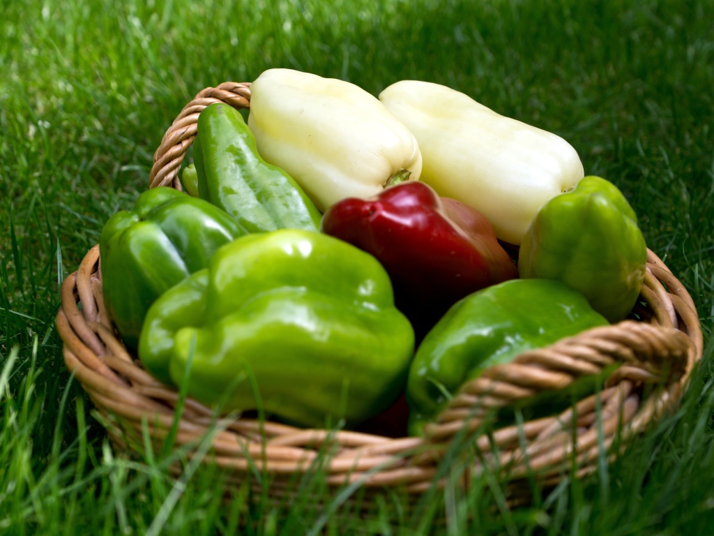 Разноцветный сладкий перец в корзинке стоит на зеленой траве