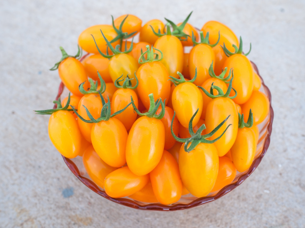 Оранжевые помидоры на тарелке крупным планом