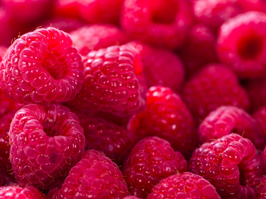 Спелая сочная малина крупным планом