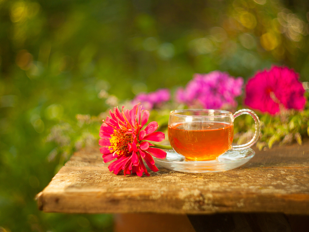 Стеклянная чашка чая на столе с цветком циннии