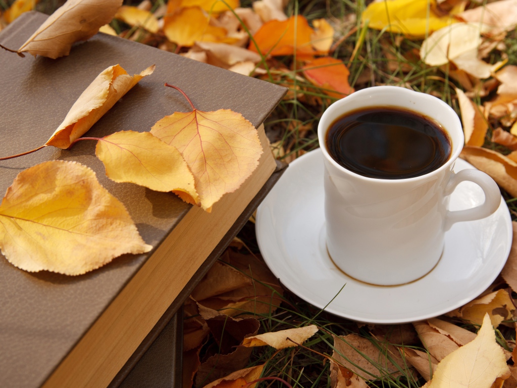 Белая чашка кофе с книгой на сухой листве осенью