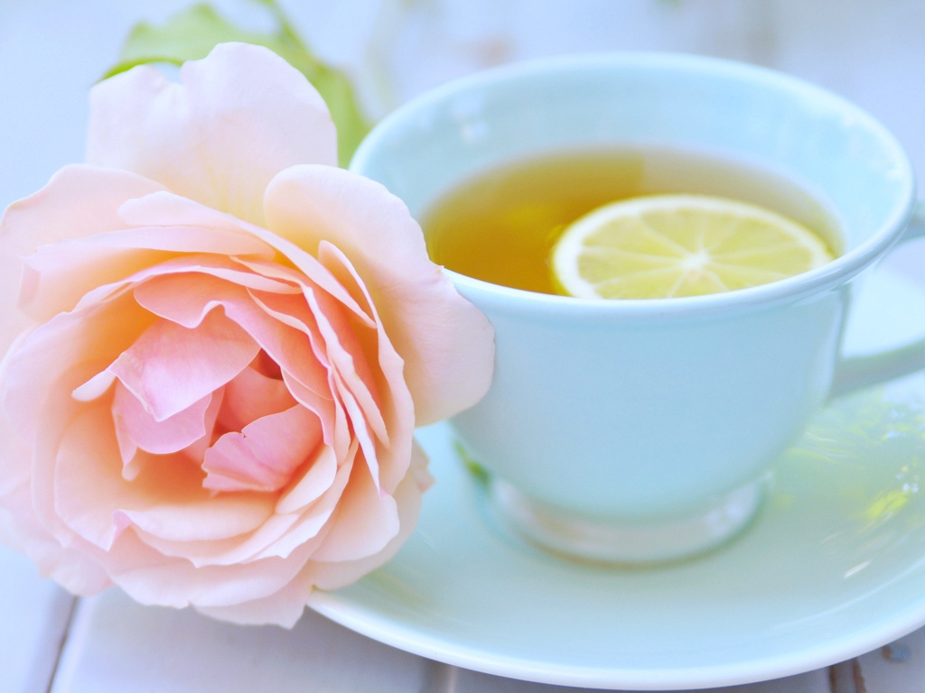 Белая чашка чая с лимоном и розовой розой