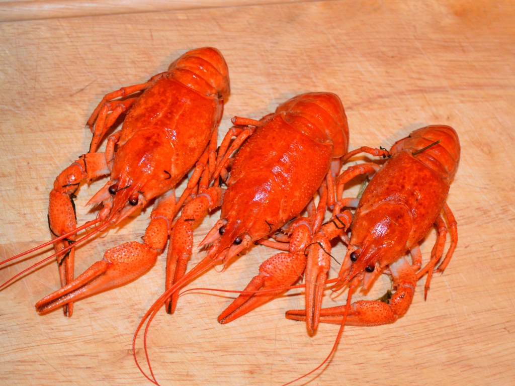 Три красных вареных рака лежат на деревянном столе