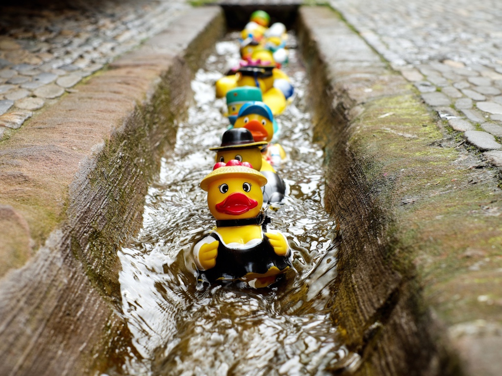 Игрушки утята в водосточной канаве