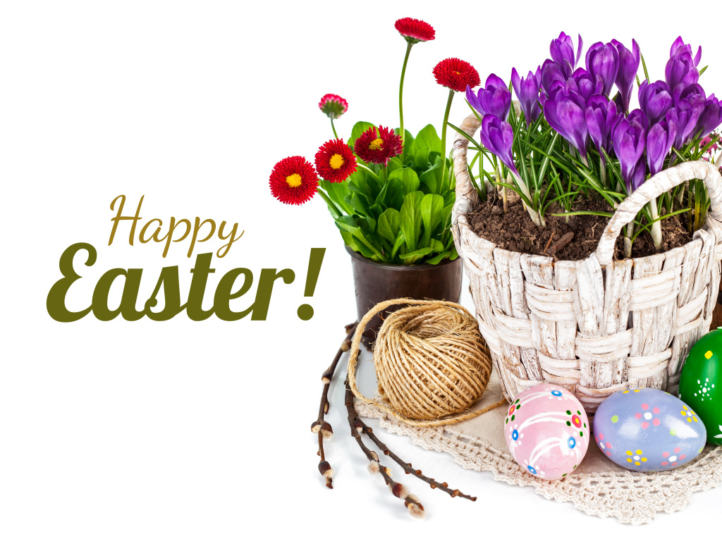 Весенние цветы и крашеные яйца на Пасху