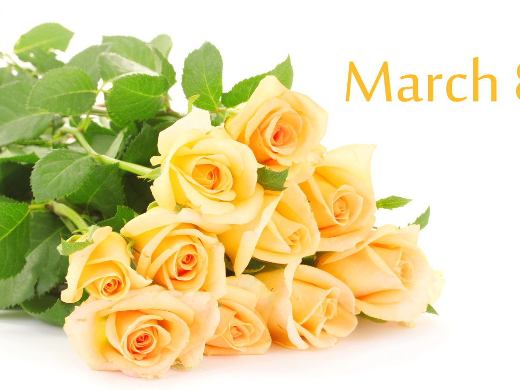 Красивый букет роз на 8 марта на белом фоне