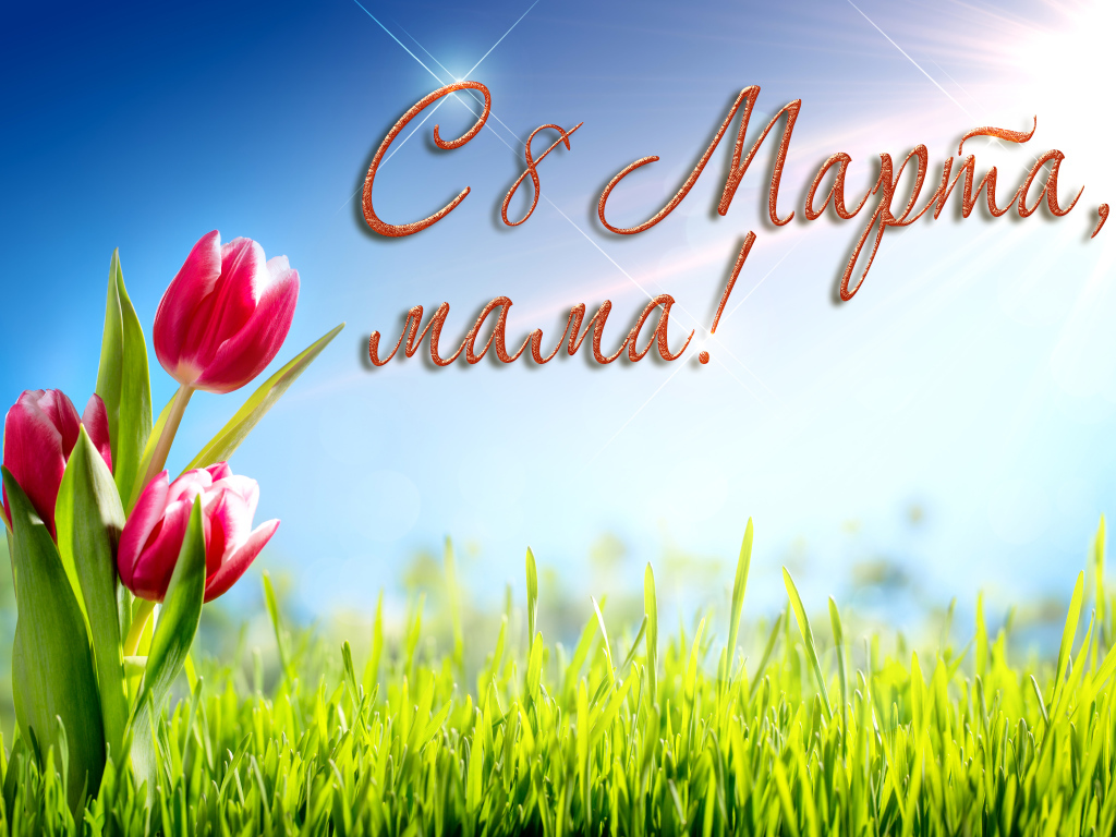 Красивые тюльпаны, на 8 марта поздравление для мамы