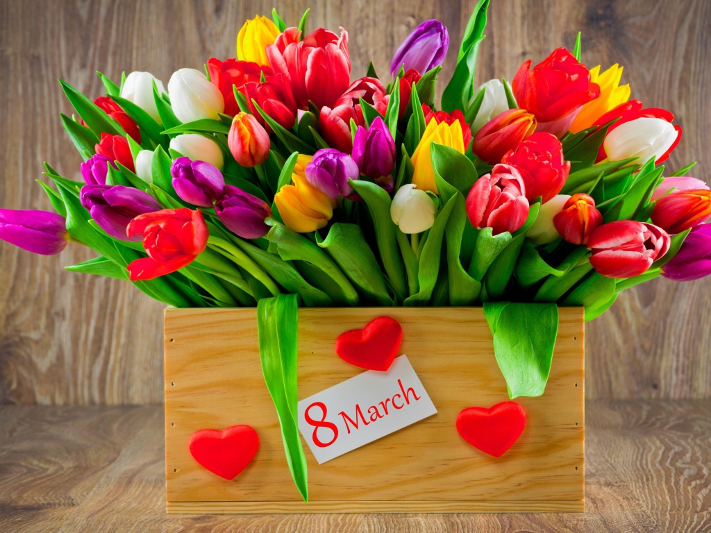 Ящик разноцветных тюльпанов на Международный женский день 8 марта