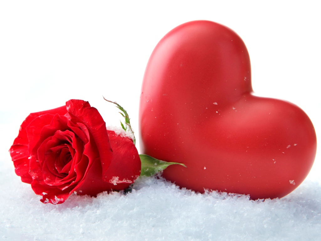 Большое красное сердце с красной розой на снегу