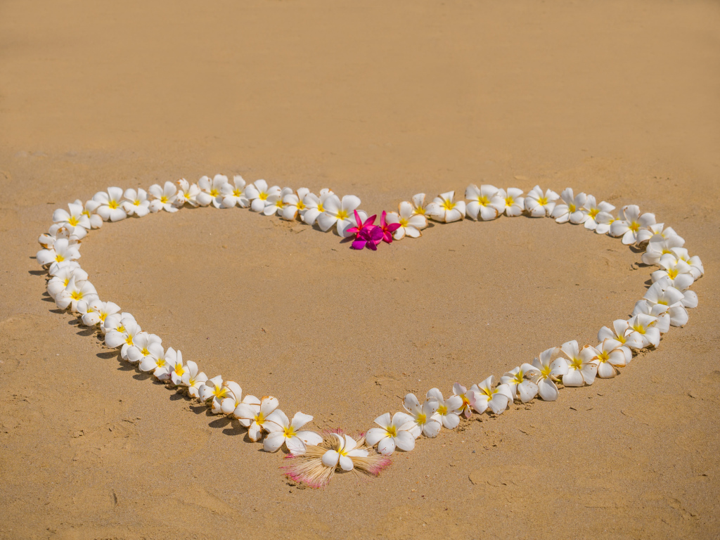 Сердце из цветов плюмерии на песке