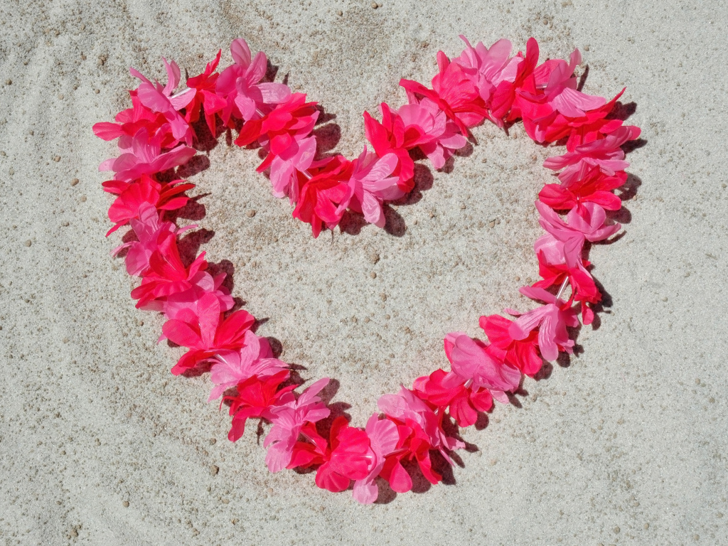 Сердце из розовых цветов на песке