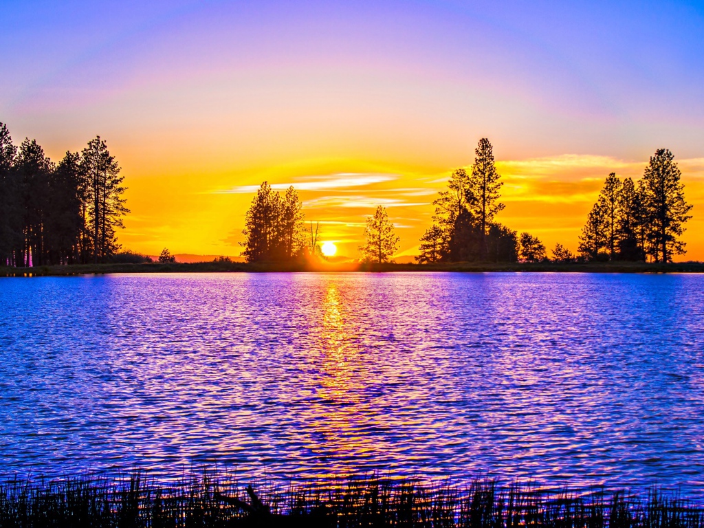 Рассвет яркого солнца над рекой