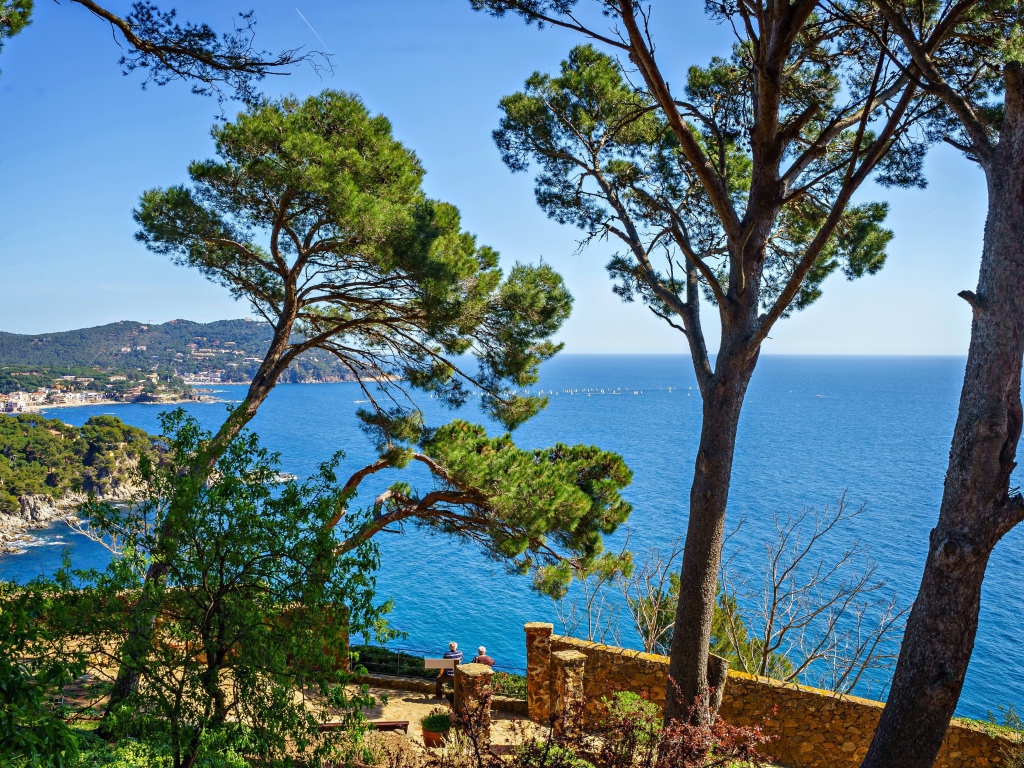 Высокие деревья на побережье на фоне моря, Испания