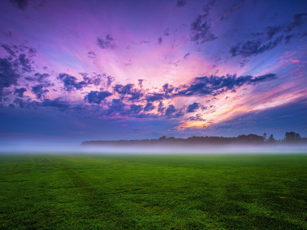 Утренний туман над полем под красивым небом