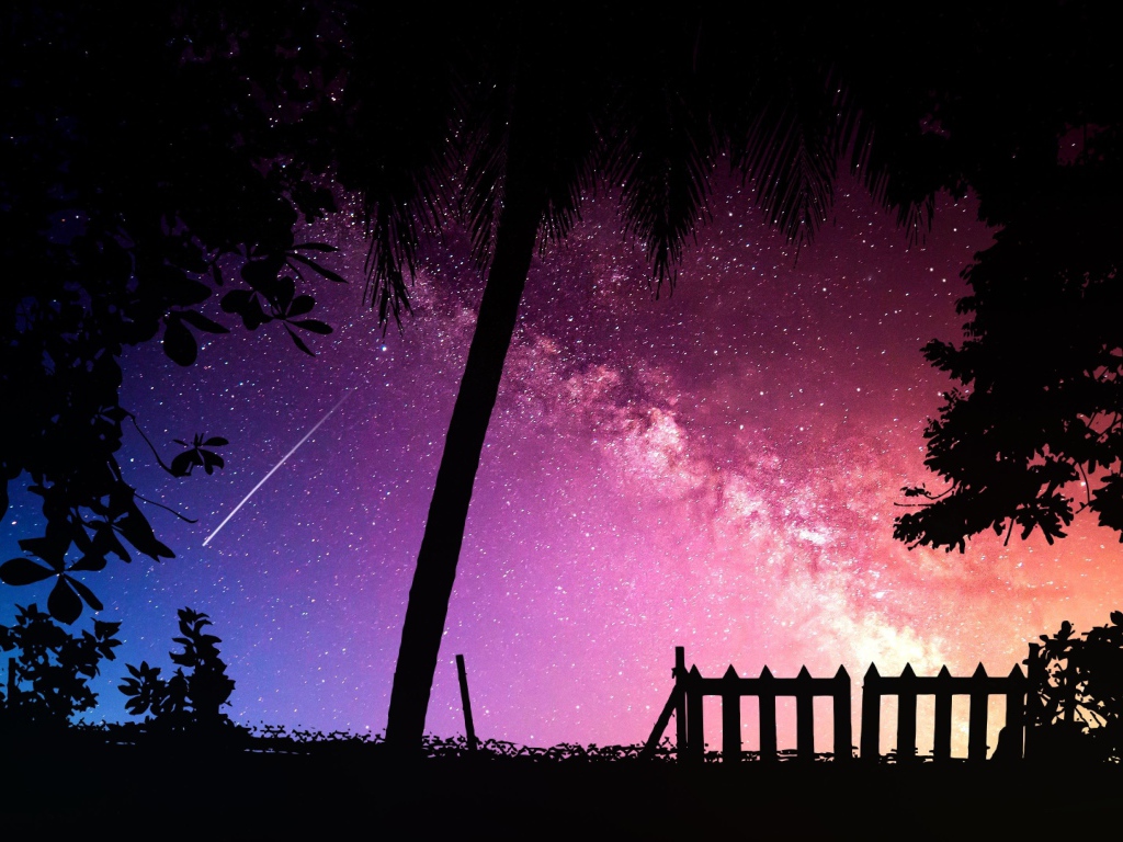 Силуэты деревьев на фоне звездного неба