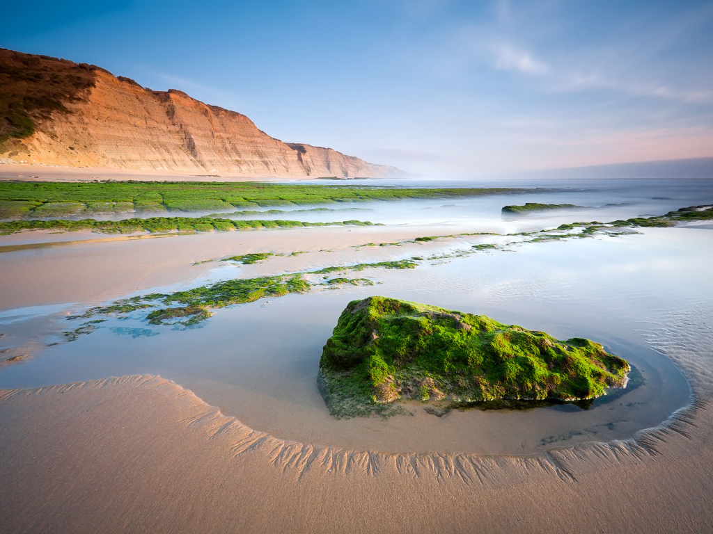 Камни на песчаном пляже покрыты зеленым мхом