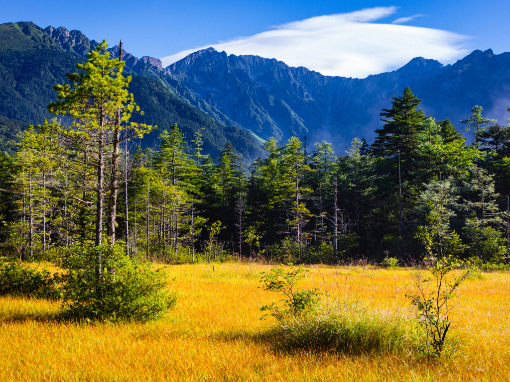 Вид на горы и лес под голубым небом, Япония