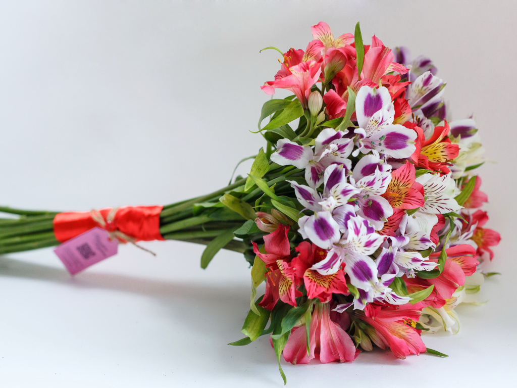 Букет цветов альстромерия на сером фоне 