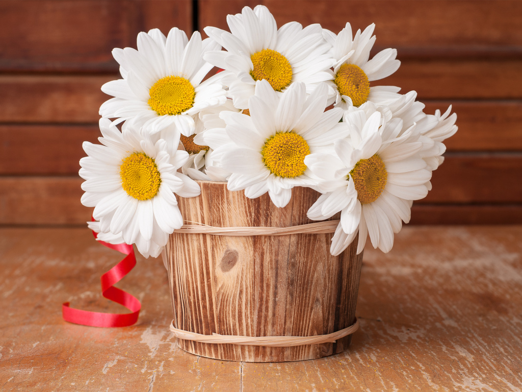Букет больших белых ромашек в деревянной вазе